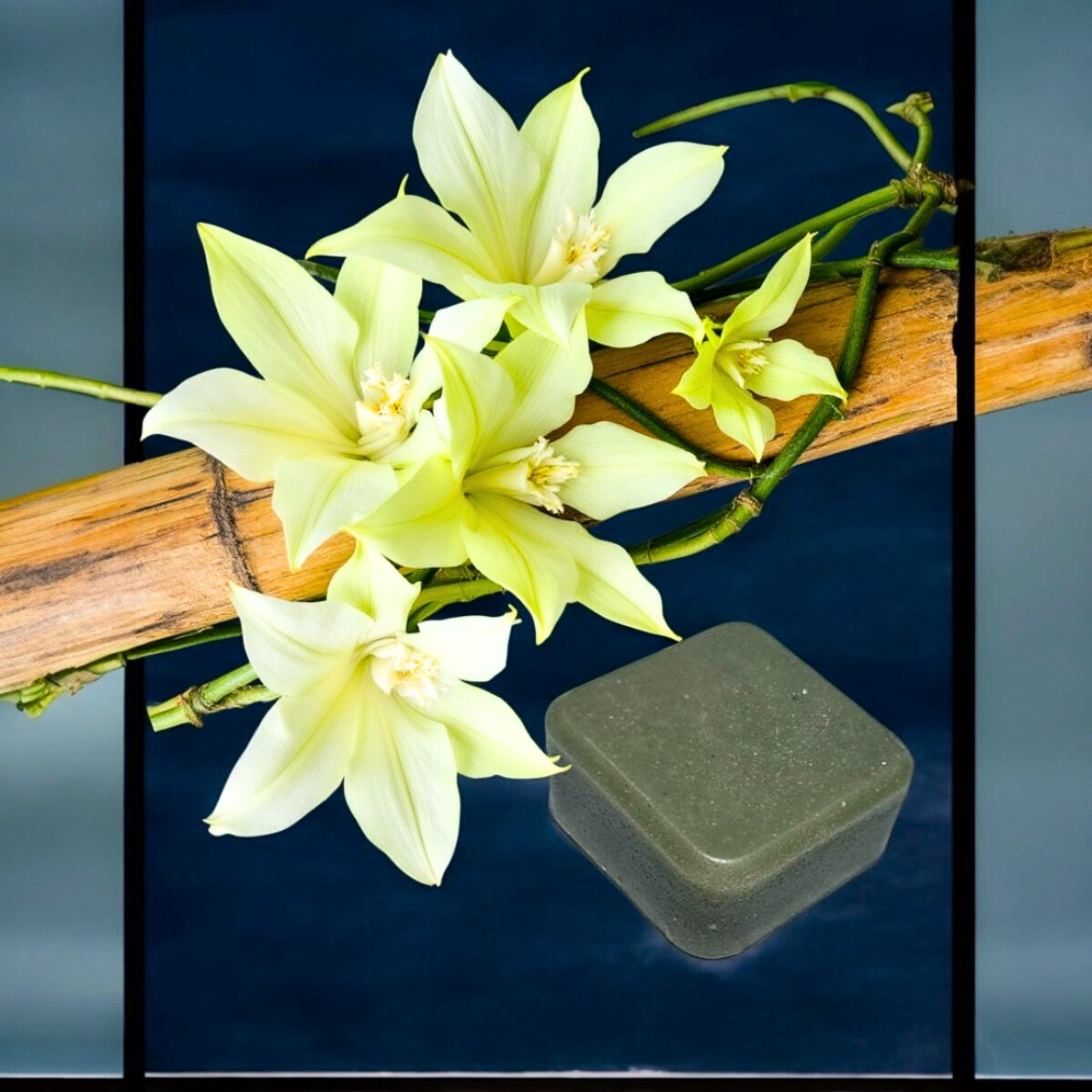 Unscented Shampoo Bar (90g) and Vanilla Conditioner Bar (60g)