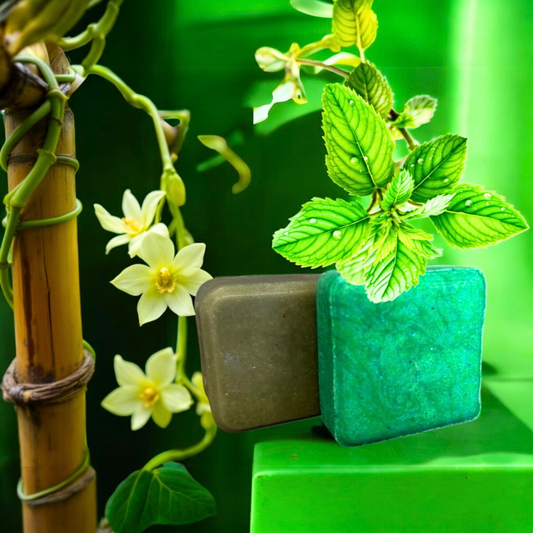 Peppermint & Vanilla Shampoo Bar (90g) and Vanilla Conditioner Bar (60g) Bundle
