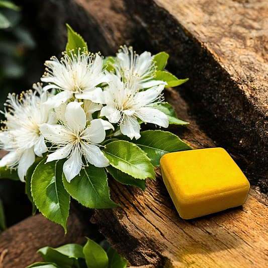Lemon Myrtle Shampoo Bar (90g)