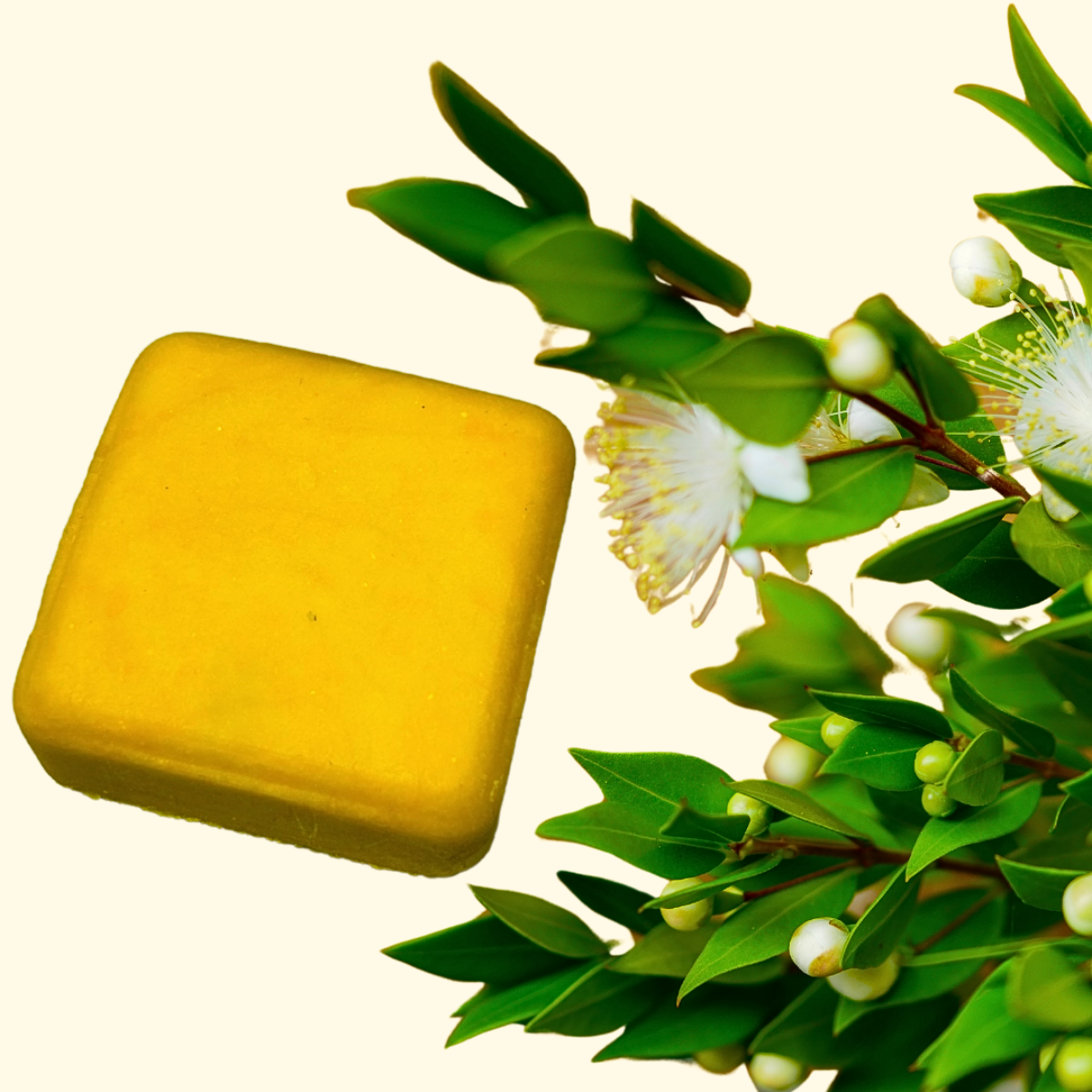 Lemon Myrtle Shampoo Bar (90g)