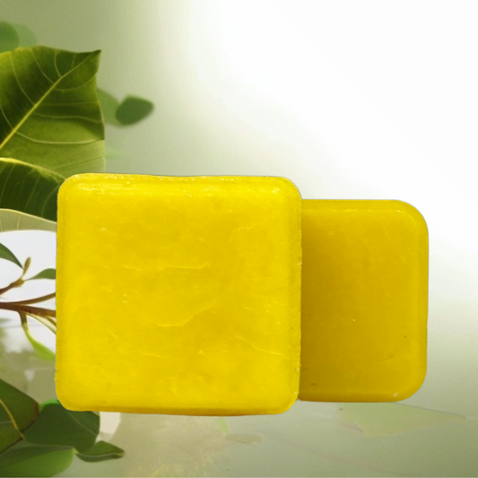 Lemon Myrtle Shampoo Bar (90g) & Conditioner Bar (60g) Bundle